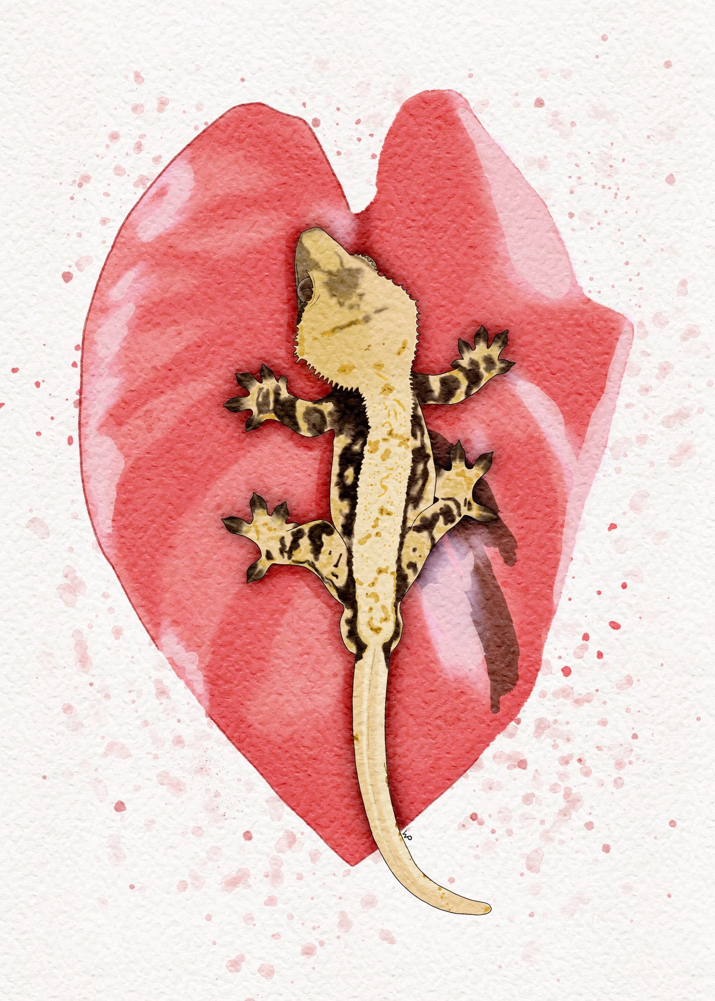 Watercolor-Crested Gecko