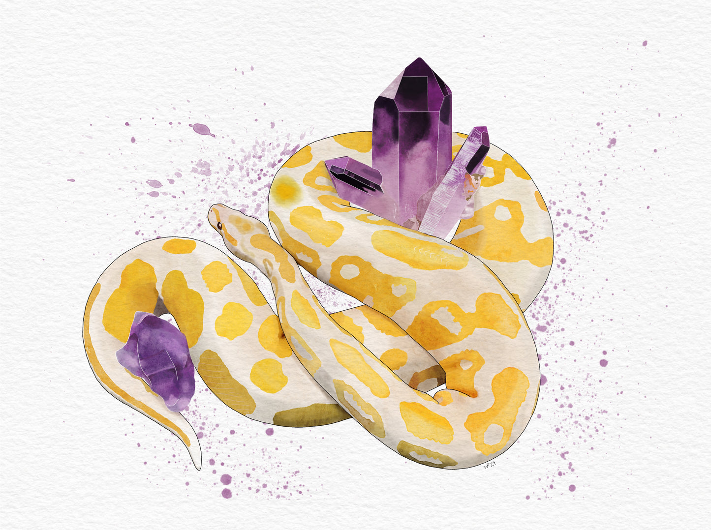 Watercolor Ball Python-Amethyst