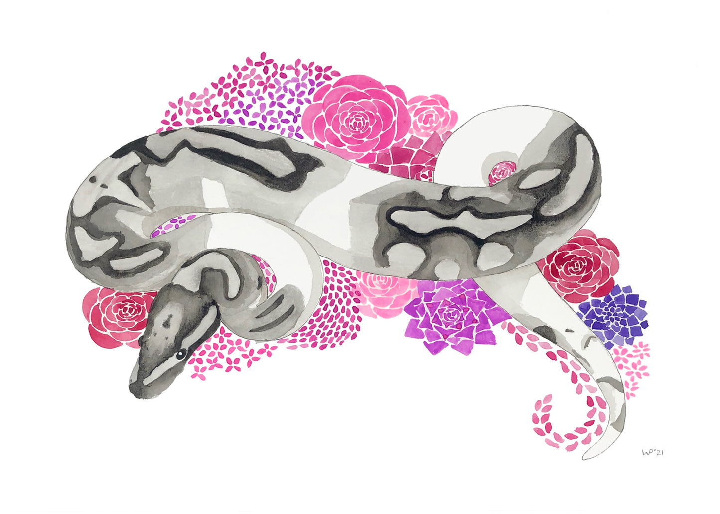 Watercolor Ball Python-Thor