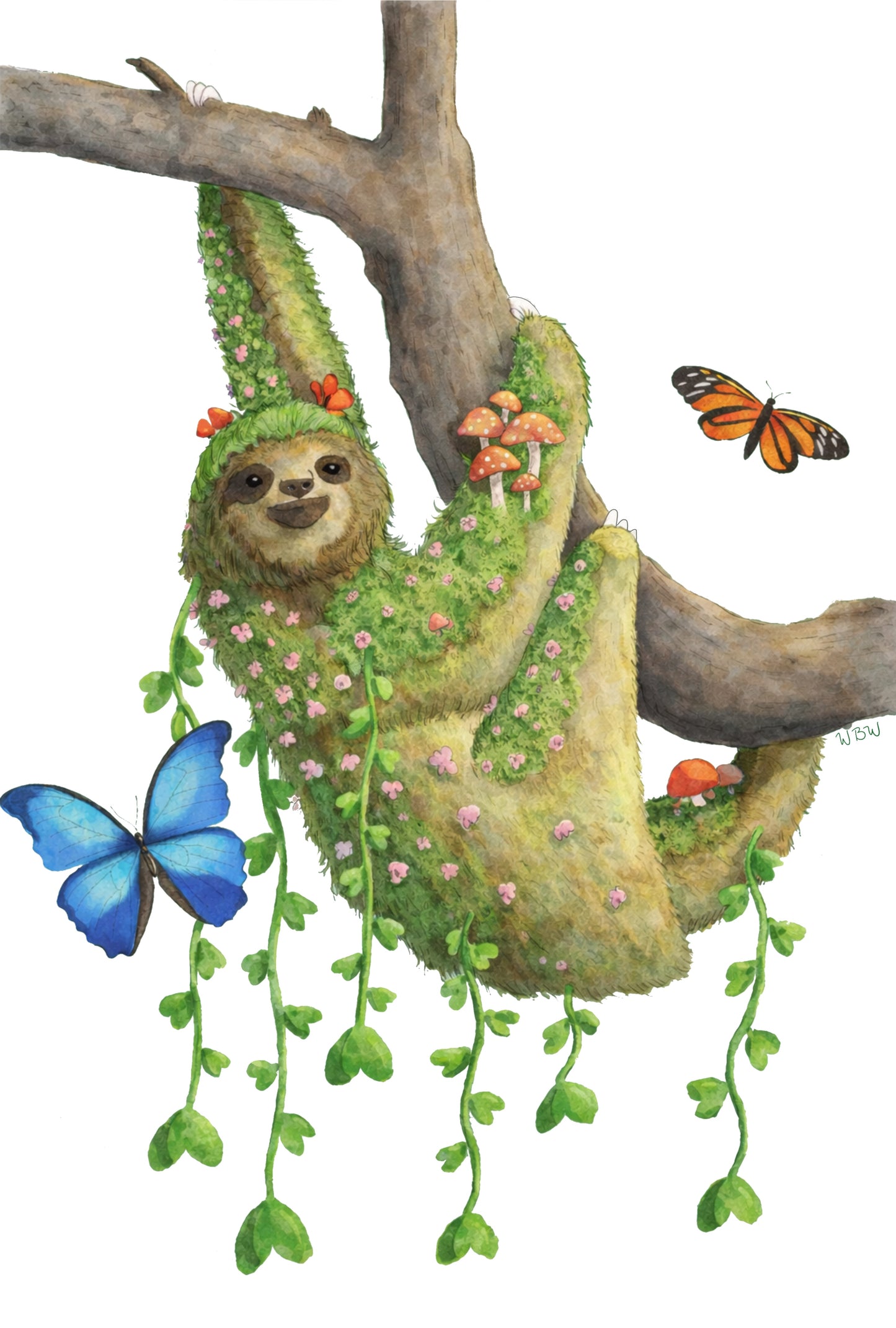 Jungle Sloth
