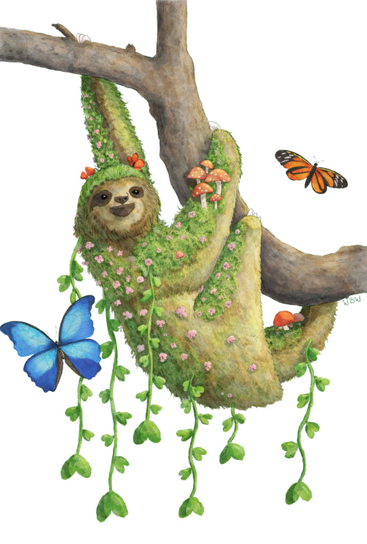 Jungle Sloth